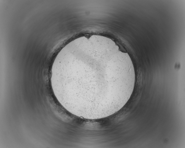 X0000111940403200908241146