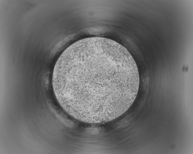 X0000111940404200908241146