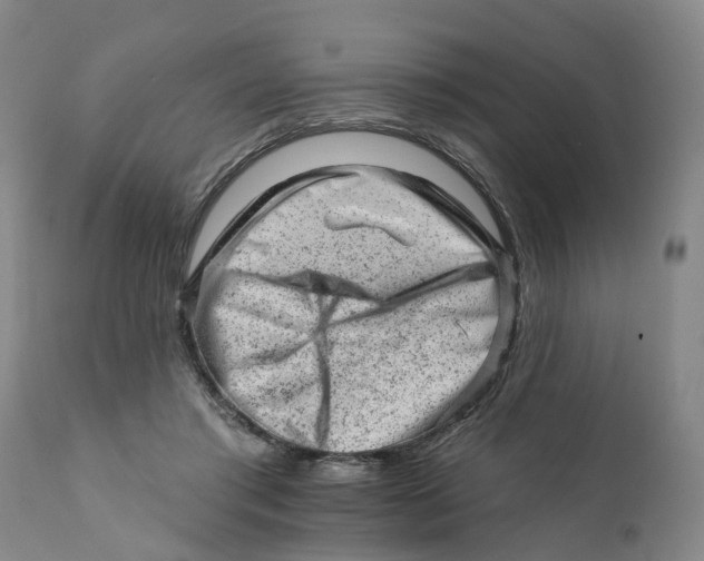 X0000111940405200908241146