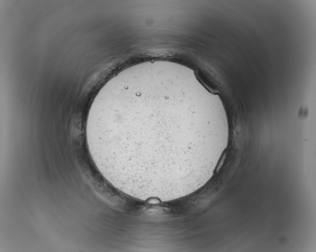 X0000111940407200908241145