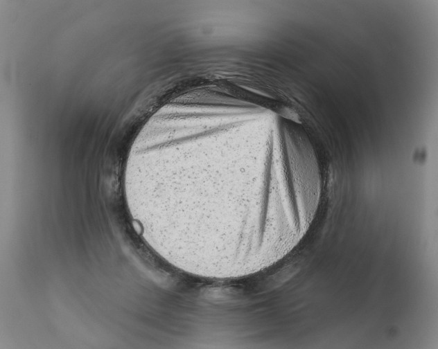 X0000111940408200908241145
