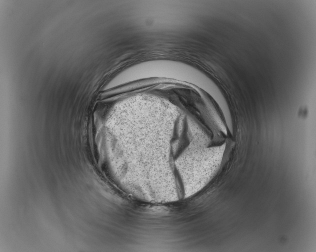 X0000111940409200908241145