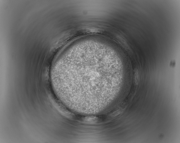 X0000111940410200908241145