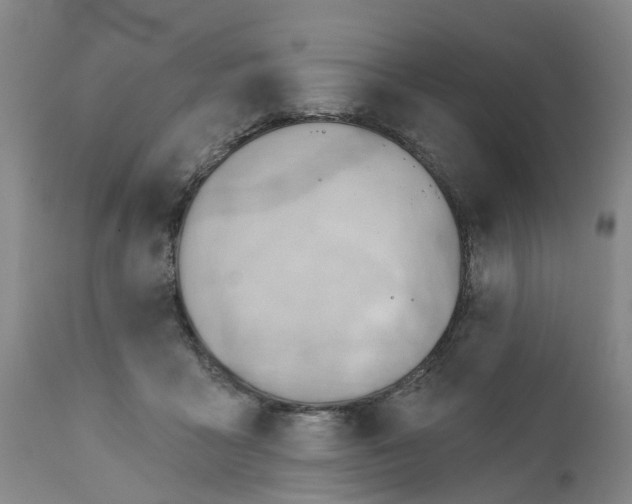 X0000111940411200908241145