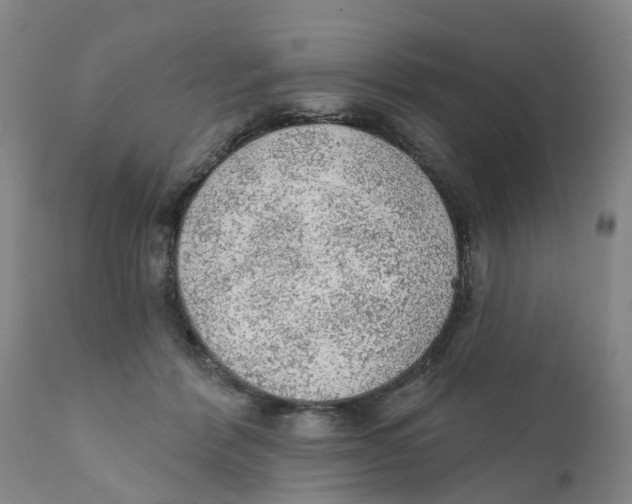 X0000111940412200908241145