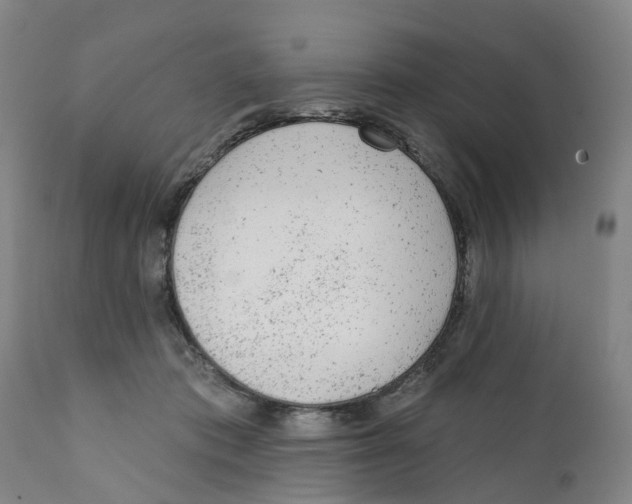 X0000111940413200908241145