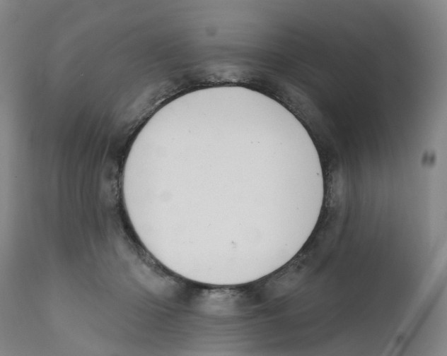 X0000111940414200908241145