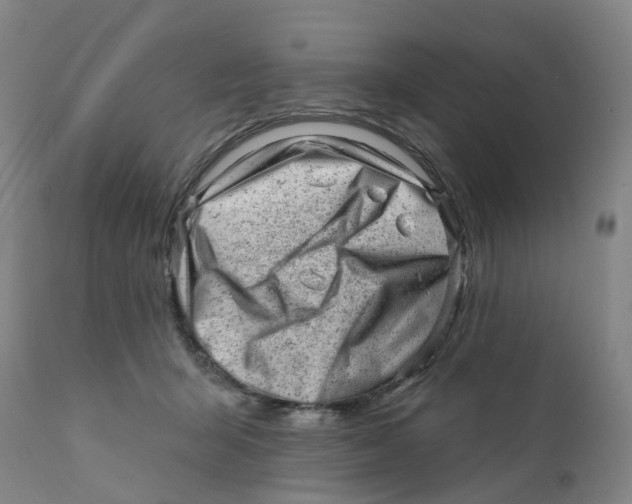 X0000111940415200908241145