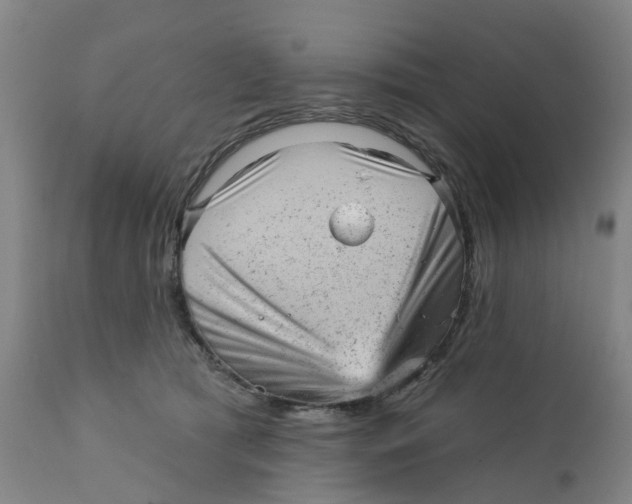 X0000111940417200908241145