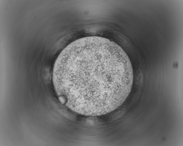 X0000111940420200908241145