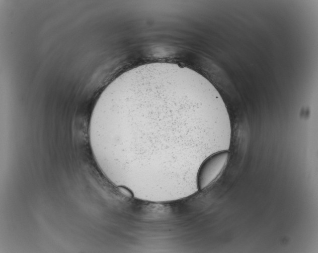 X0000111940421200908241145