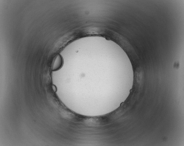 X0000111940422200908241145