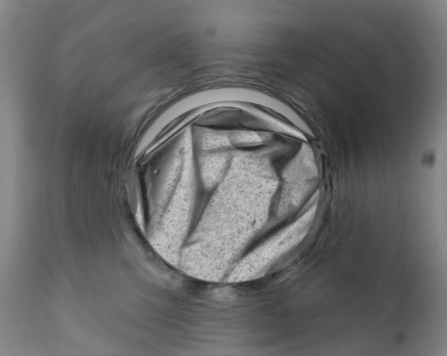 X0000111940423200908241145