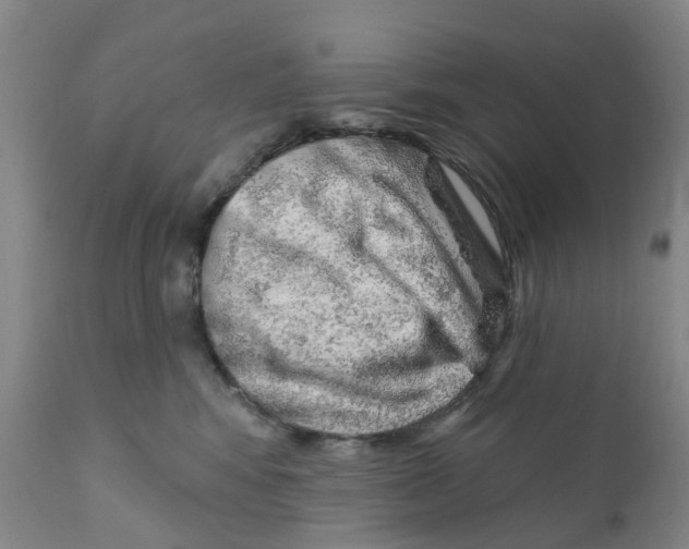 X0000111940424200908241145