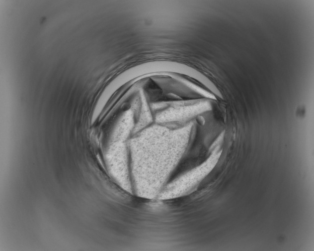 X0000111940425200908241145