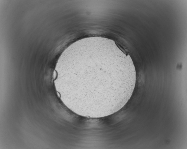 X0000111940428200908241145