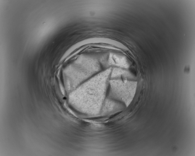 X0000111940429200908241145