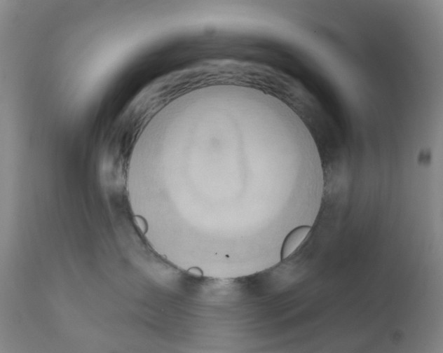 X0000111940431200908241145