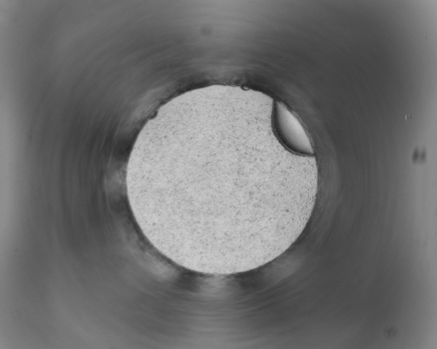 X0000111940432200908241145