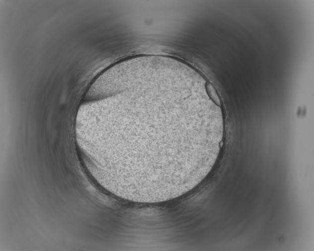 X0000111940433200908241144