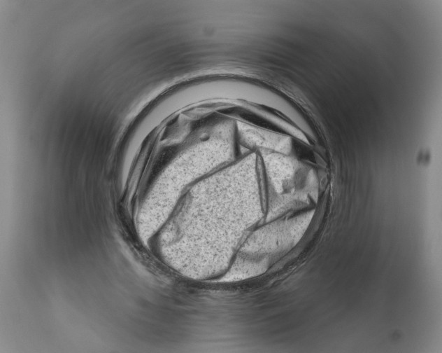 X0000111940436200908241144