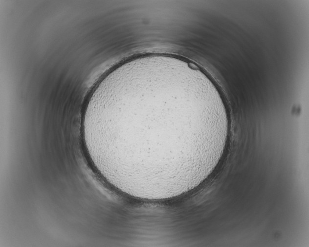 X0000111940437200908241144
