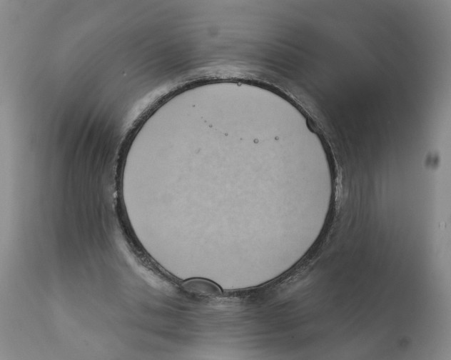 X0000111940438200908241144