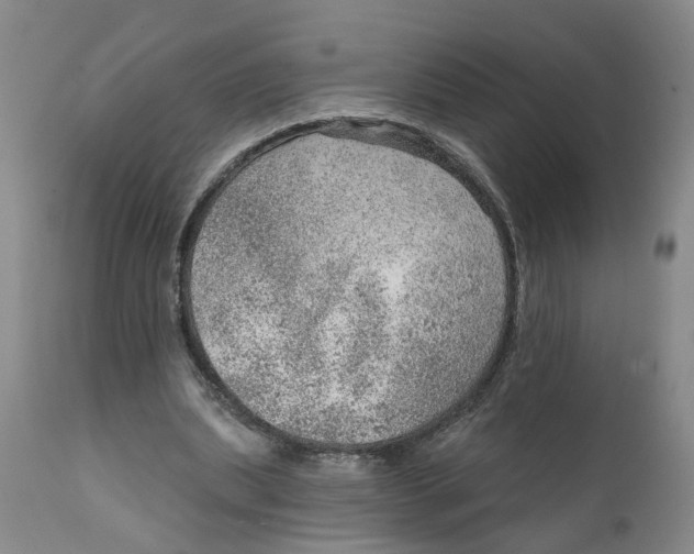 X0000111940439200908241144