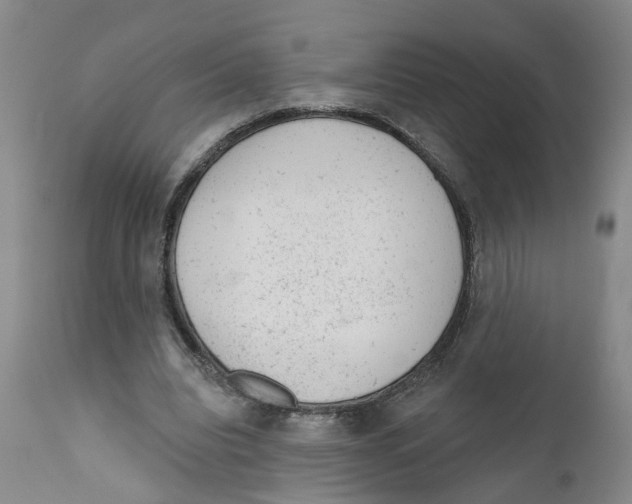 X0000111940440200908241144