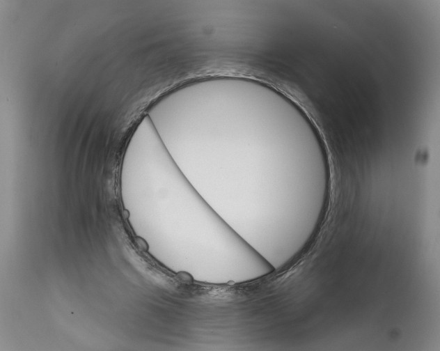 X0000111940441200908241144