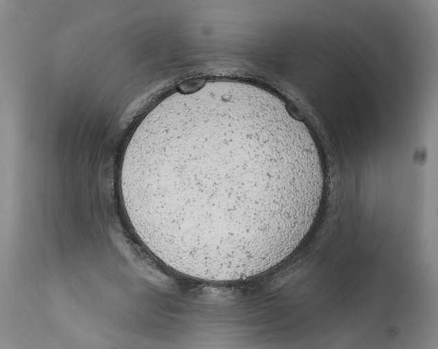 X0000111940442200908241144