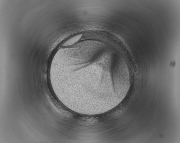 X0000111940443200908241144