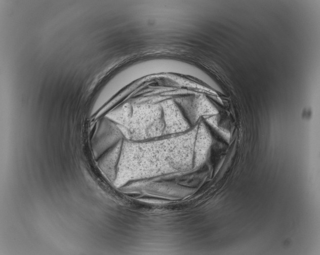 X0000111940444200908241144