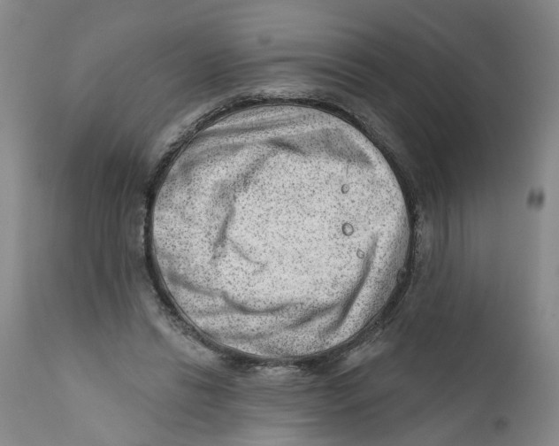 X0000111940446200908241144
