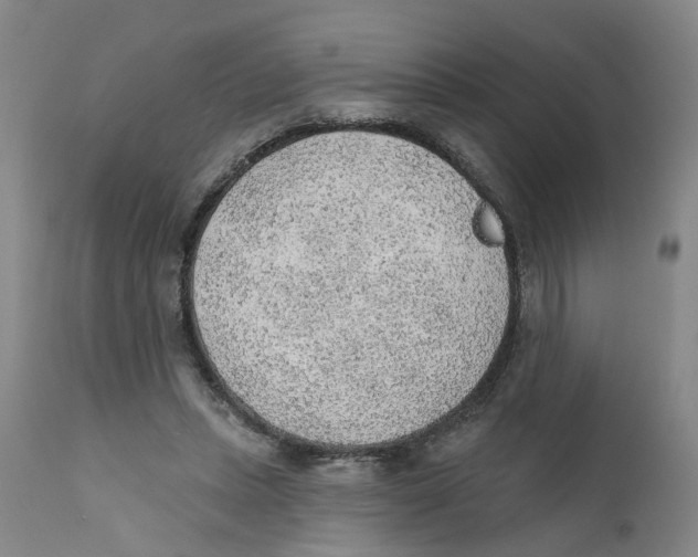 X0000111940447200908241144