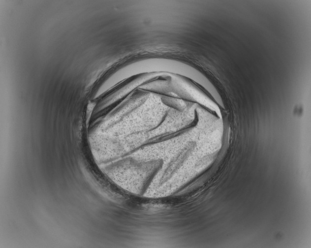 X0000111940448200908241144