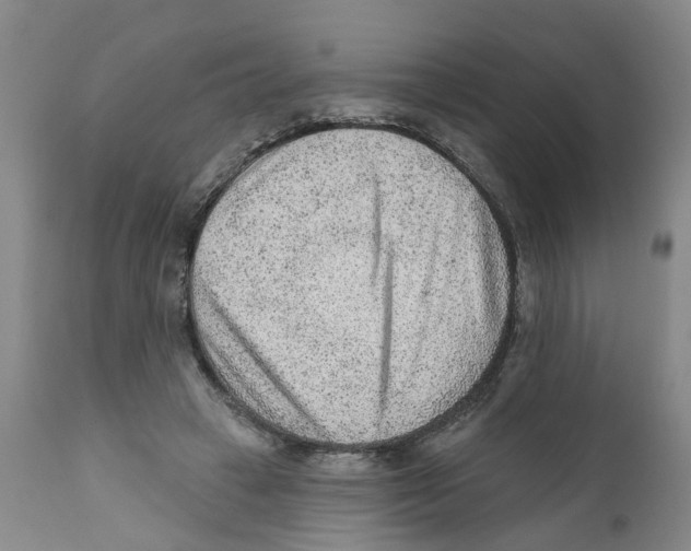 X0000111940449200908241144