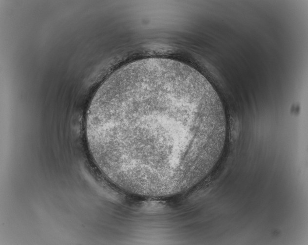X0000111940451200908241144