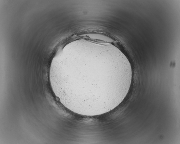 X0000111940453200908241144