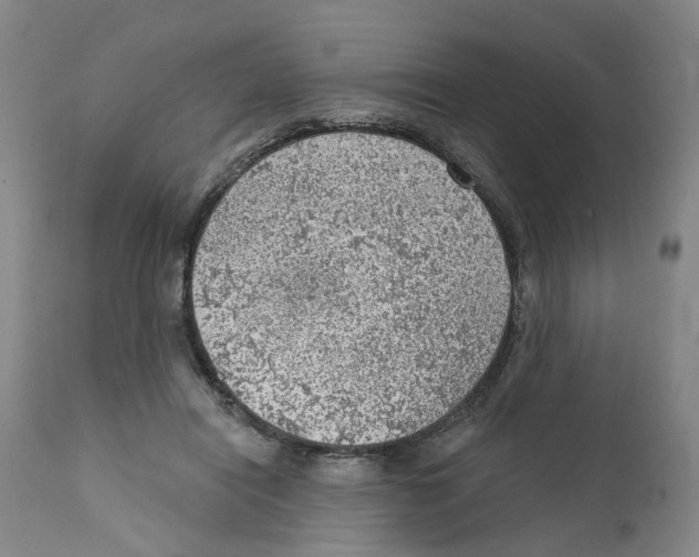 X0000111940454200908241144