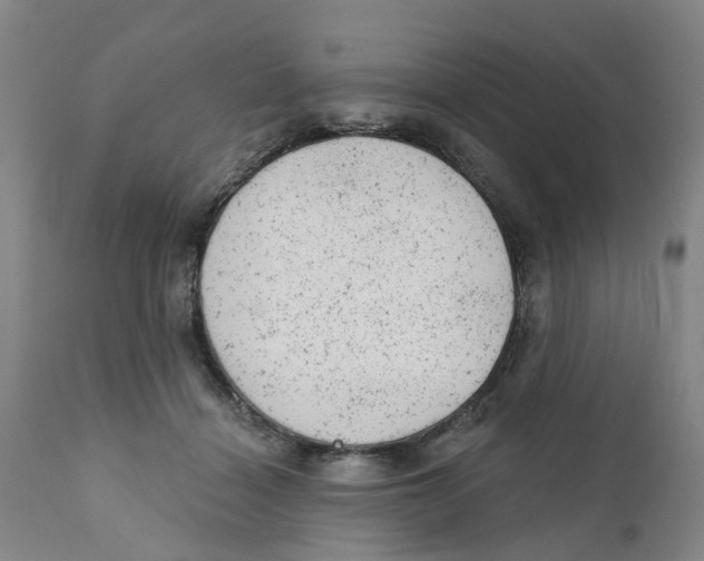 X0000111940460200908241145