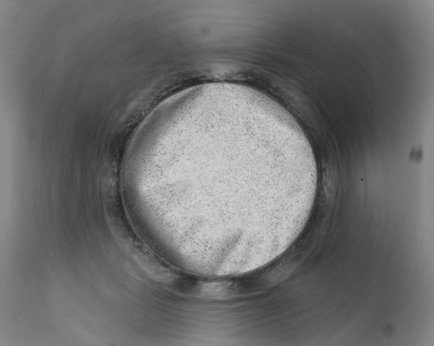 X0000111940461200908241145