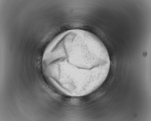X0000111940462200908241145