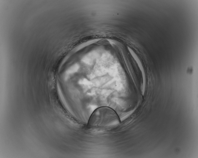 X0000111940465200908241145