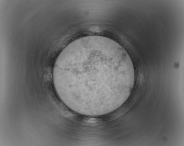 X0000111940467200908241145