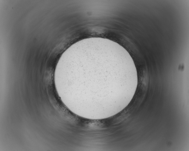 X0000111940468200908241145