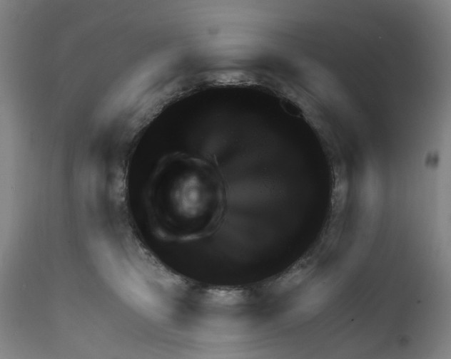 X0000111940469200908241145