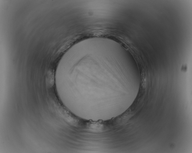 X0000111940471200908241145