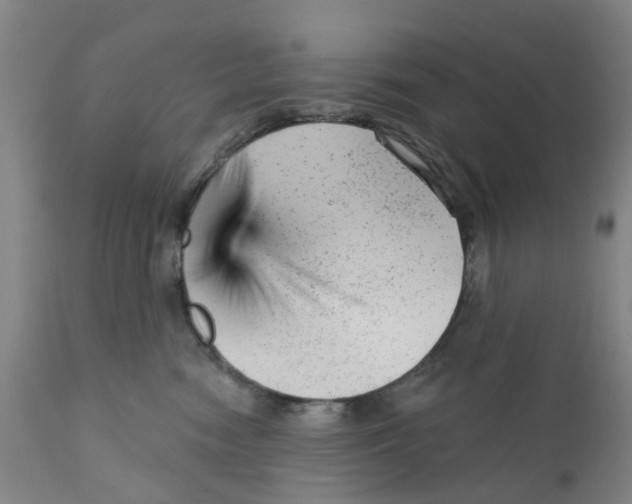 X0000111940474200908241145