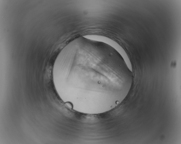 X0000111940475200908241145
